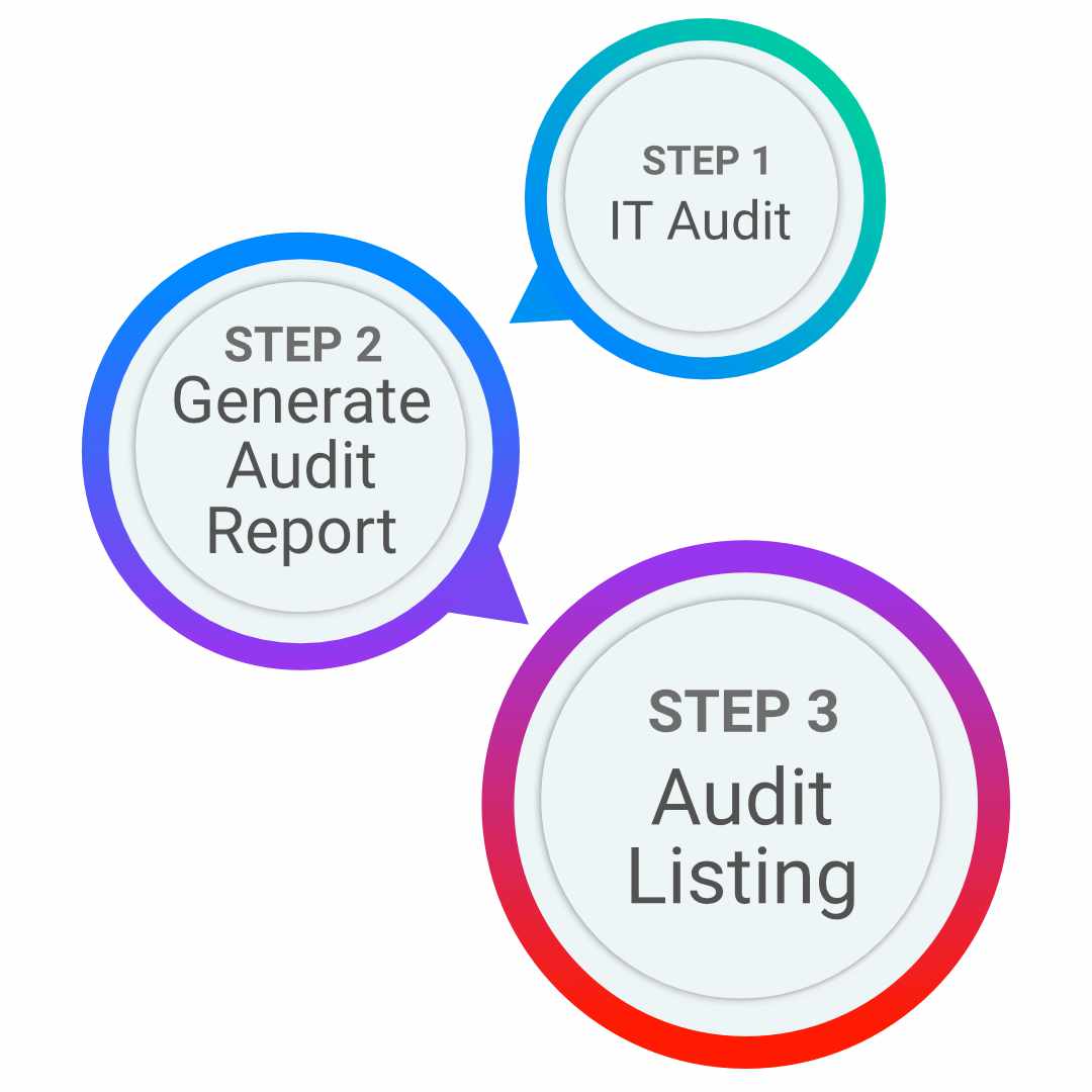 Softech IT Audit